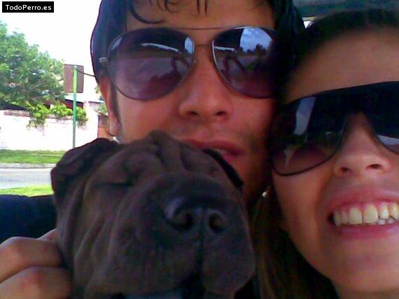 La foto del perro