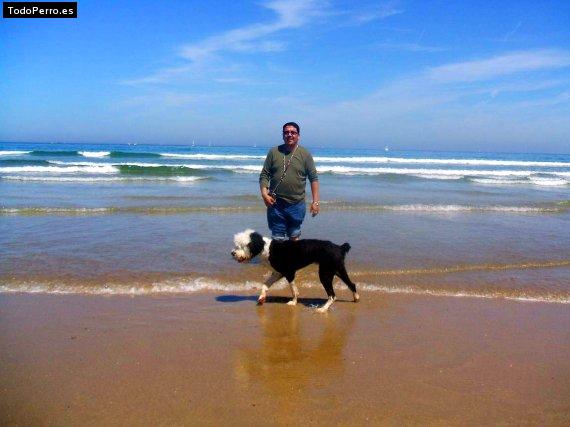 La foto del perro