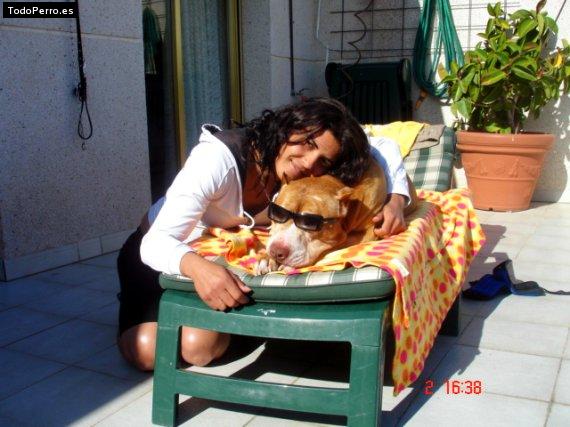 La foto del perro