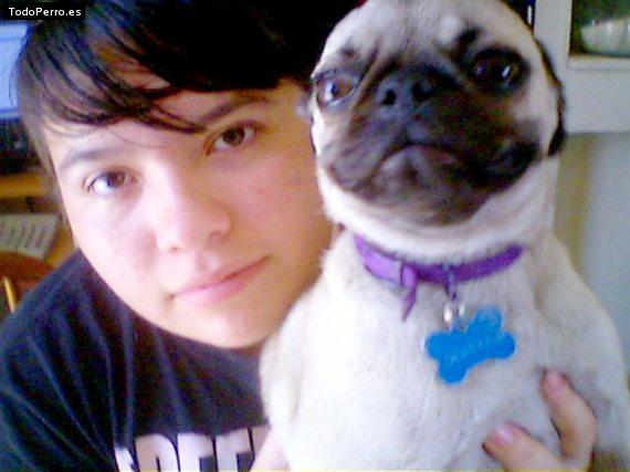 La foto del perro