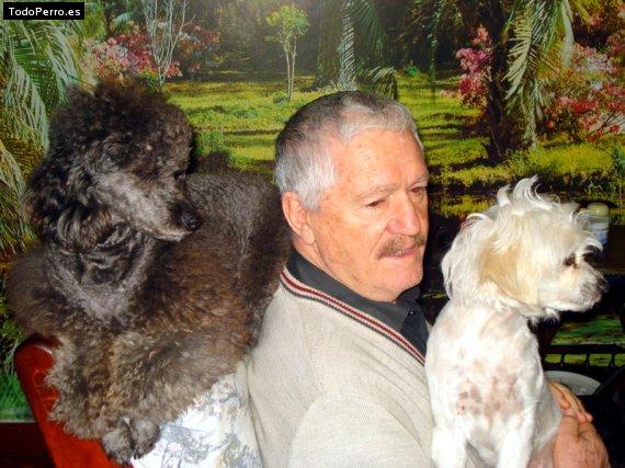 La foto del perro