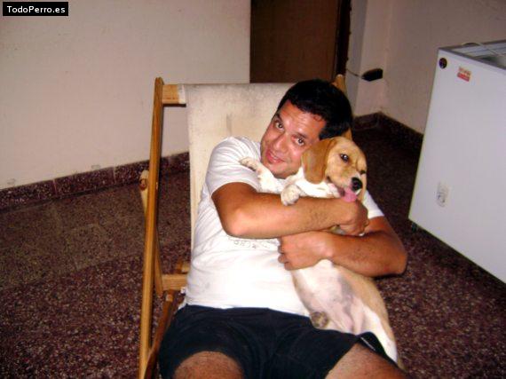 La foto del perro