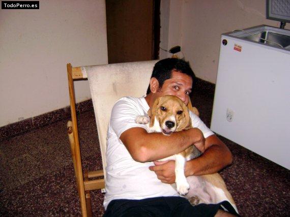 La foto del perro