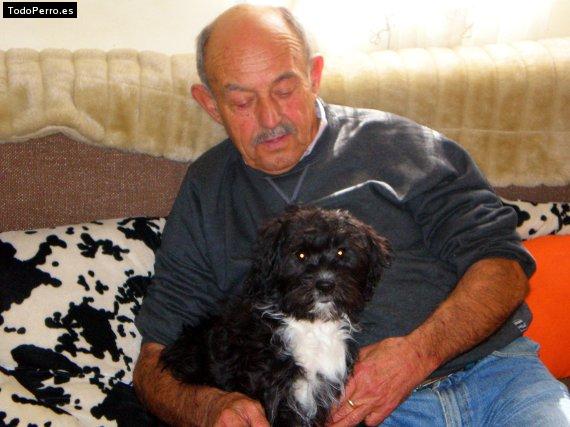 Foto del perro Thelma