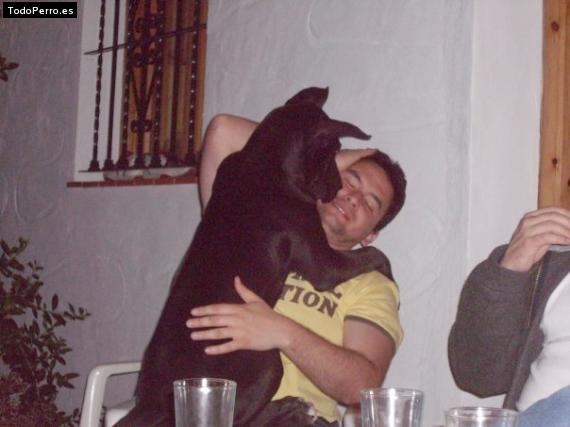 La foto del perro