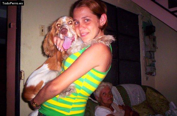 La foto del perro