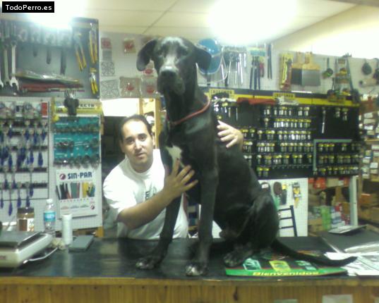 La foto del perro