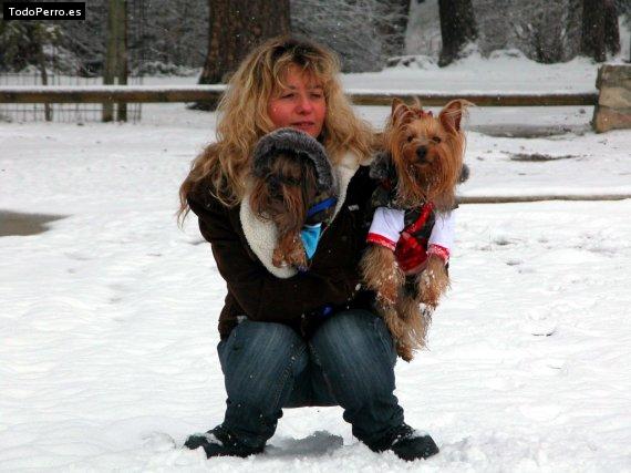 La foto del perro