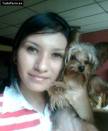 La foto del perro