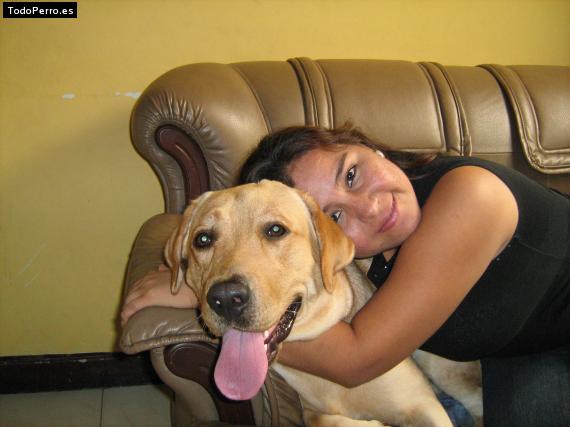 La foto del perro