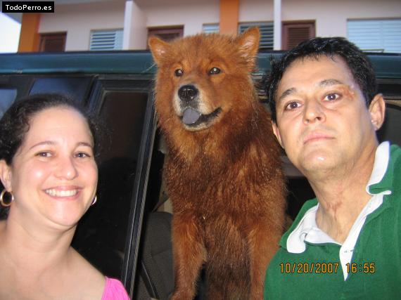 La foto del perro
