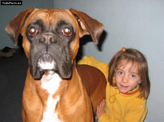 La foto del perro