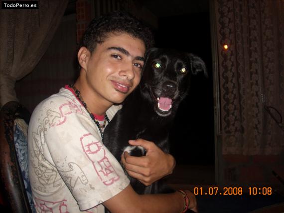 La foto del perro