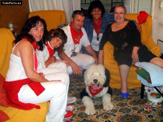 La foto del perro