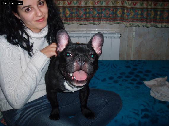 La foto del perro