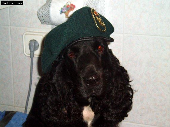 Foto del perro Carla