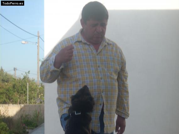 La foto del perro