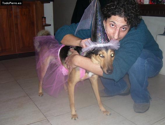 La foto del perro
