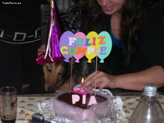 La foto del perro