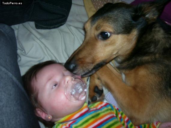 La foto del perro