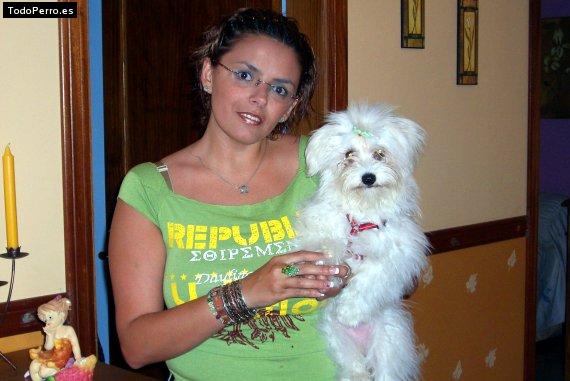 La foto del perro