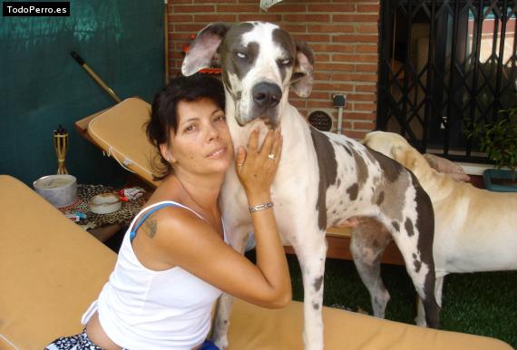 La foto del perro