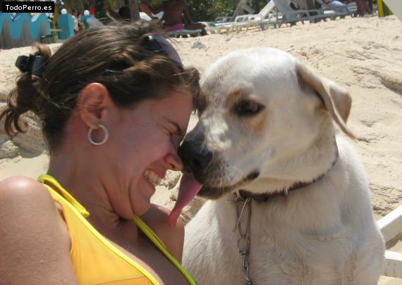 La foto del perro