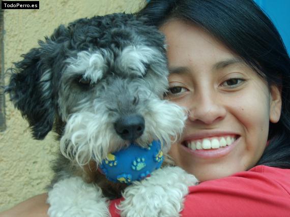 La foto del perro