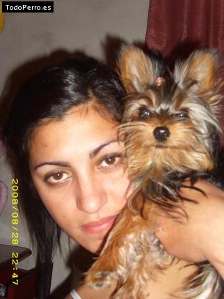 La foto del perro