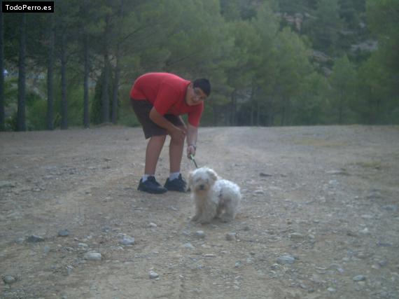 La foto del perro