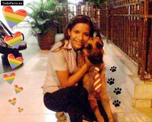 La foto del perro