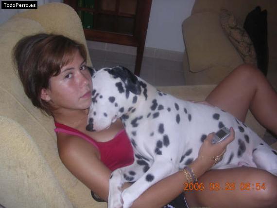 La foto del perro