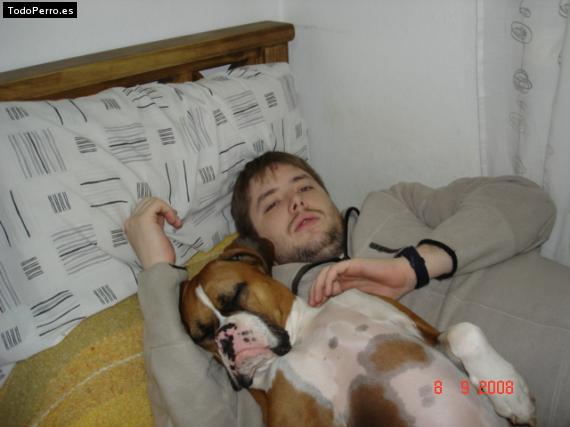 La foto del perro