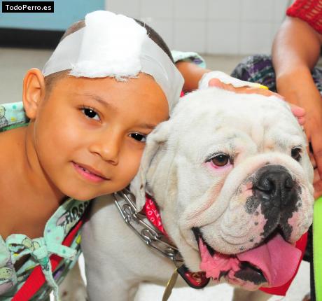 La foto del perro