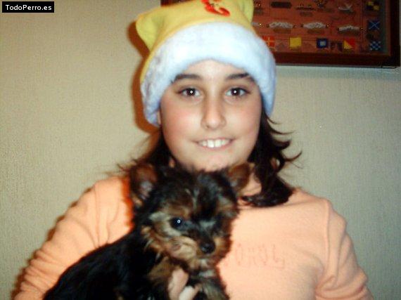 La foto del perro