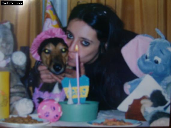 La foto del perro