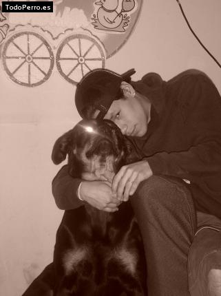La foto del perro