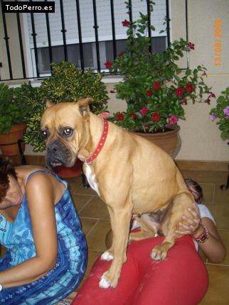 La foto del perro