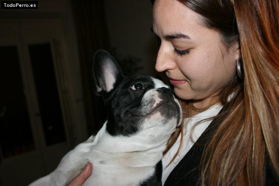 La foto del perro