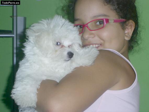La foto del perro