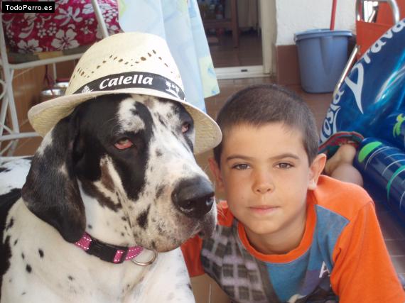 La foto del perro