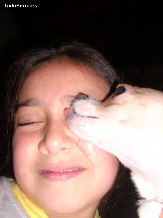La foto del perro