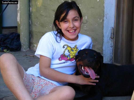 La foto del perro