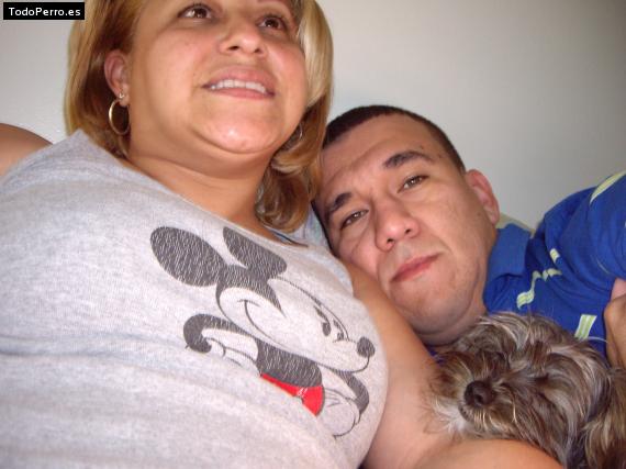 La foto del perro