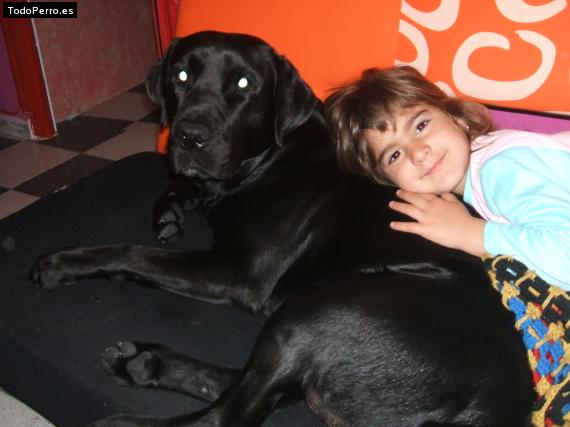 La foto del perro