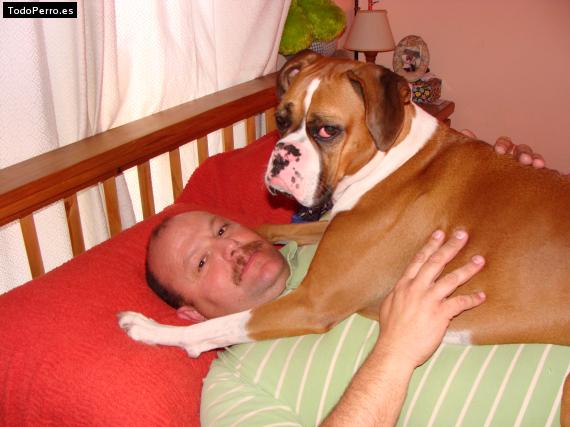 La foto del perro