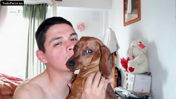 La foto del perro