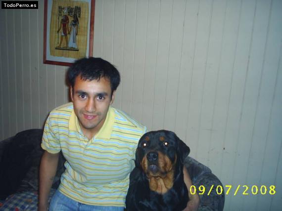 La foto del perro
