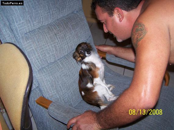 La foto del perro