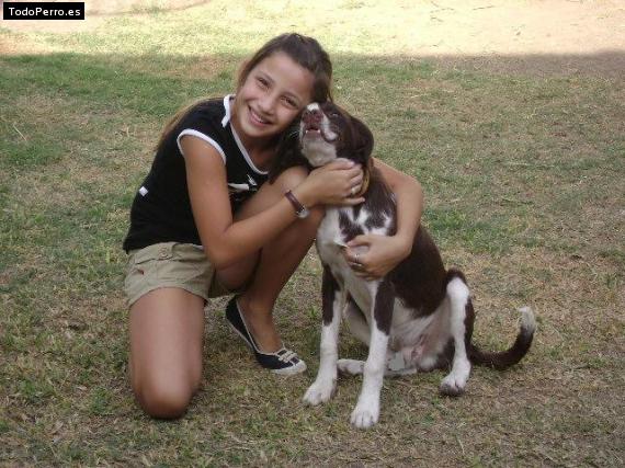 La foto del perro